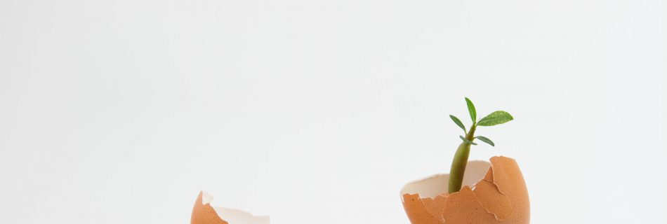Periphere Sensibilisierung – wenn deine Nerven zu empfindlich werden