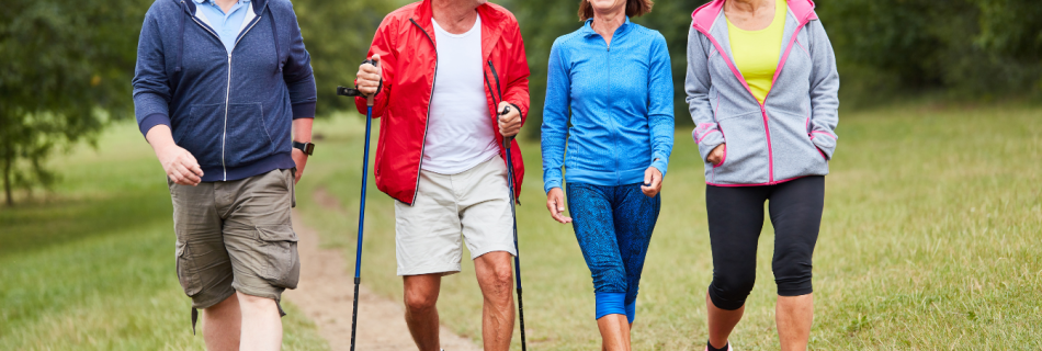 Arthrose Programm Movement Lab premium